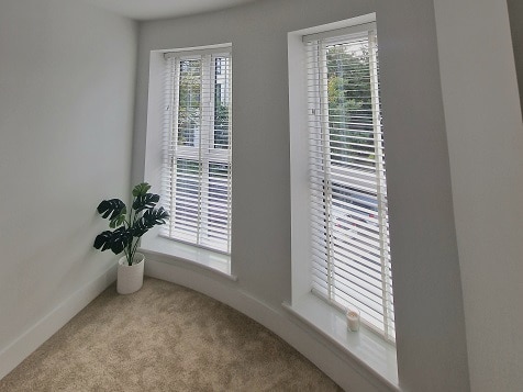 taped Venetian blinds